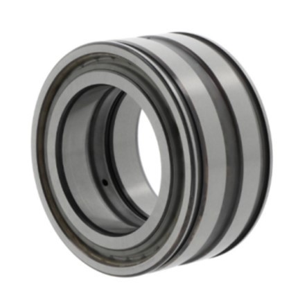 SL04160-D-PP Cylindrical Roller Bearing